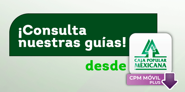 Consulta nuestras guías